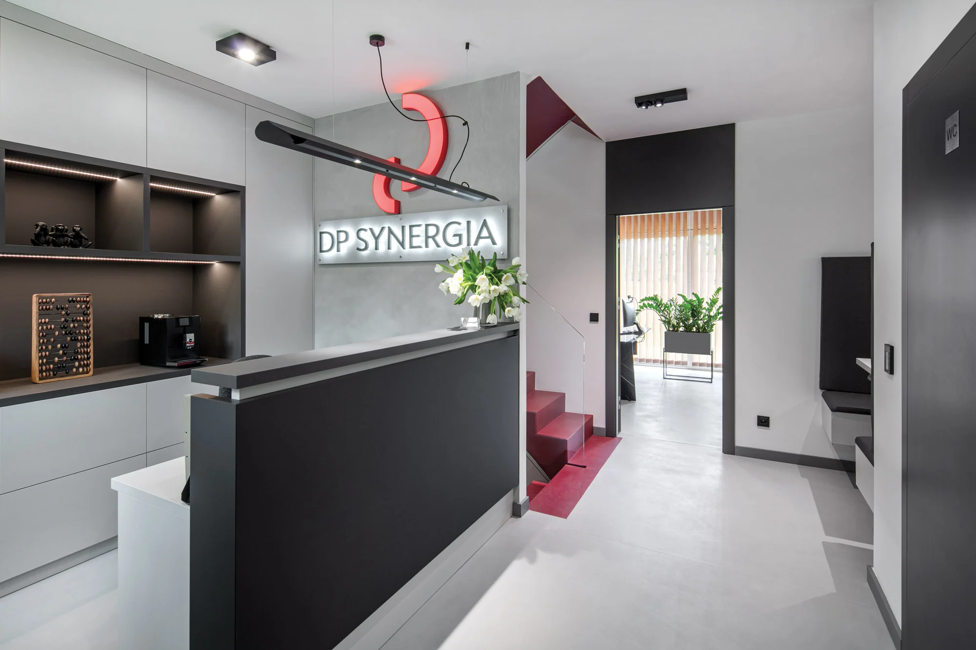 DP Synergia